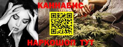 сатива Бузулук
