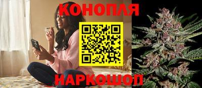 сатива Бузулук