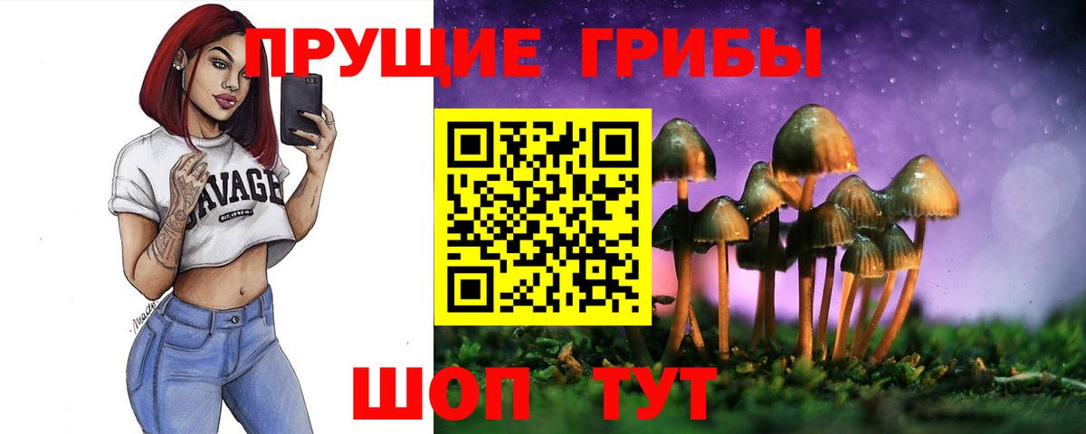 Старая Купавна  наркошоп  Вход с VPN  Псилоцибиновые грибы ЛСД 